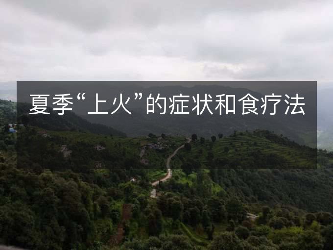 夏季“上火”的症状和食疗法 夏季“上火”的症状和食疗法