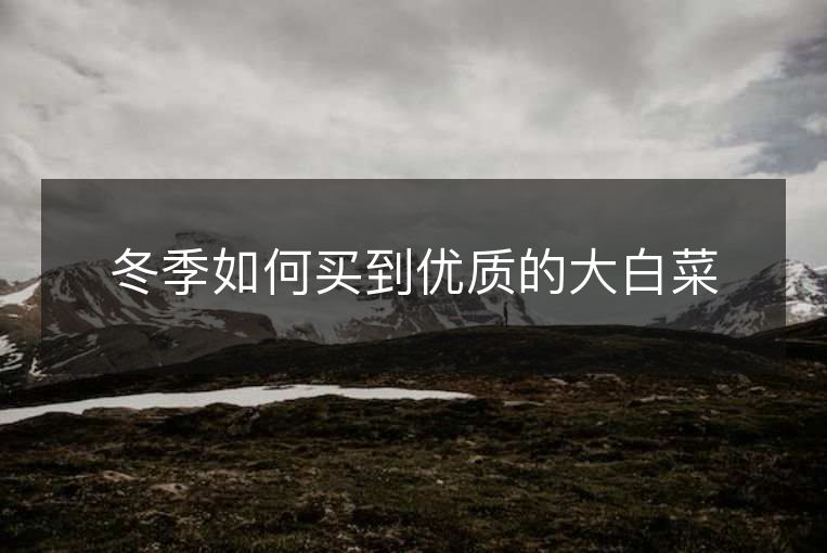 冬季如何买到优质的大白菜 冬季如何买到优质的大白菜